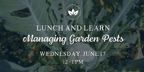 Lunch & Learn: Garden Pests