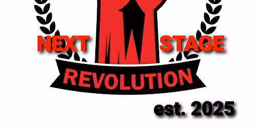 N.S.R. LIVE AT ALIBI'S