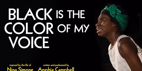 Black Is The Color Of My Voice