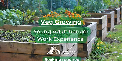 Veg Growing - Young Adult Ranger Work Experience at Alexandra Park
