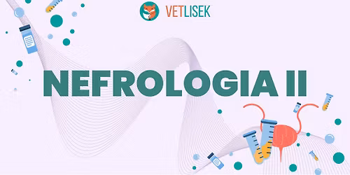 Nefrologia II
