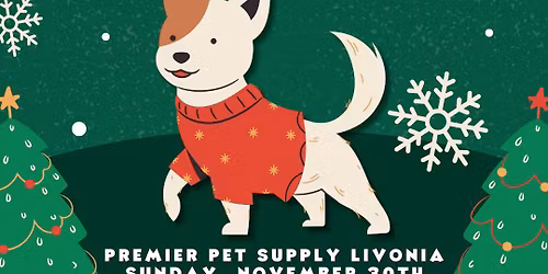 Pet Pictures W\/ Santa & Ruff Life Photography! 