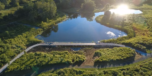 Community Wetland Opening
