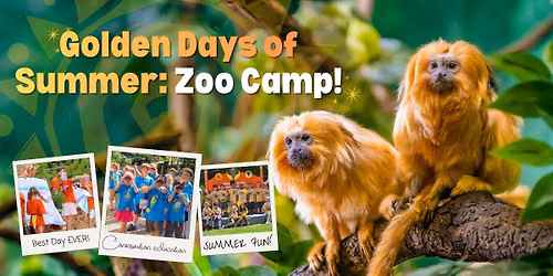 Golden Days of Summer: Zoo Camp!