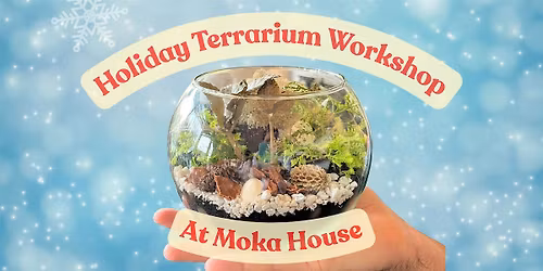 Holiday Terrarium Event at Moka House Cook Street Village