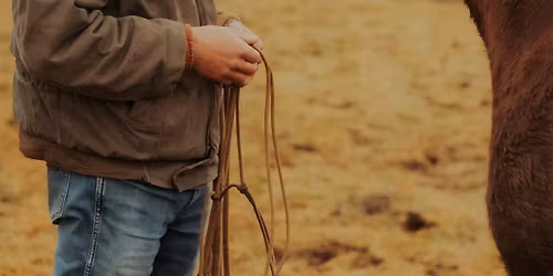 Stage horsemanship avec Tom Legroux-Grattet 