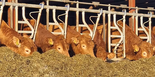 \u00d6ppen G\u00e5rd i Nedanb\u00e4ck 