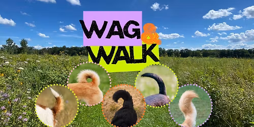 Wag & Walk