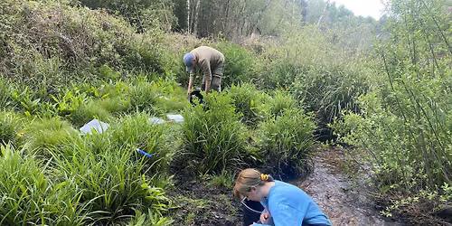 Riverfly Monitoring