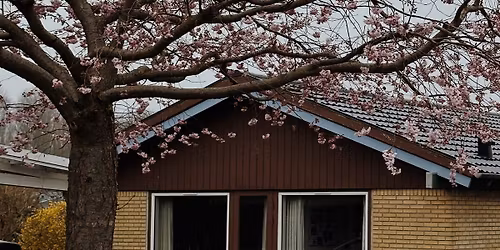 Bolig for fremtid og f\u00e6llesskab: Parcelhusvandring i Albertslund