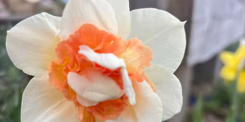 Sunday Service with Helen Bolger