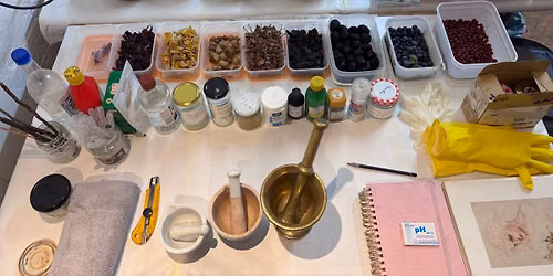 Autumn Colours: Natural Inks and Drawing Trees - a 2-day workshop