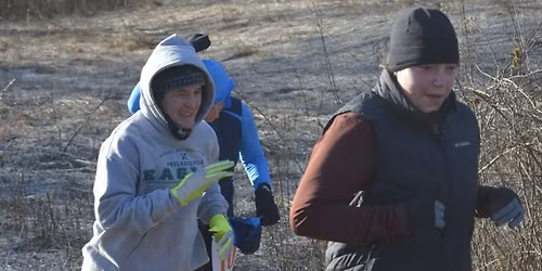 Wild Card - Winter Series