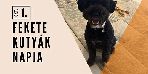 Fekete Kuty\u00e1k Napja