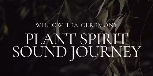 Willow Plant Spirit Sound Journey