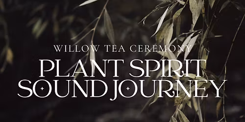 Willow Plant Spirit Sound Journey