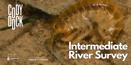 Intermediate River Survey