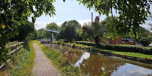 A flat 5.5mile walk: Whixall & Bettisfield Mosses & a Canal.
