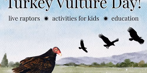 Turkey Vulture Day