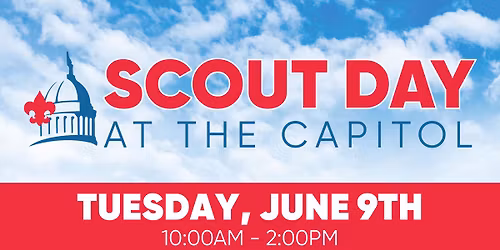 Scout Day at the Capitol