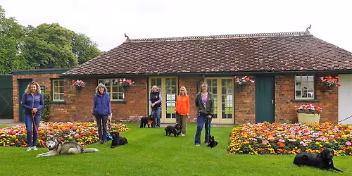 Talking Dogs Scentwork Scent 4