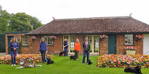 Talking Dogs Scentwork Scent 4