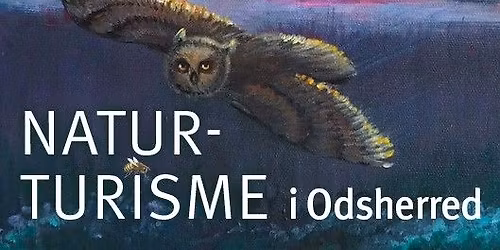 Er Odsherreds turismepolitik gr\u00f8n nok?