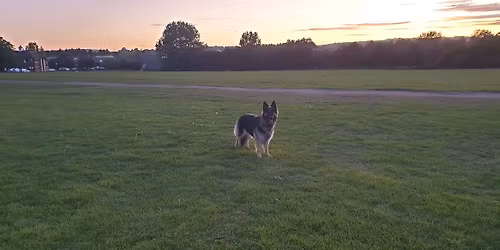 Ry's Big Social Meet #107