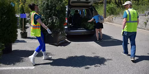 Minneapolis Tree Distribution - Friday