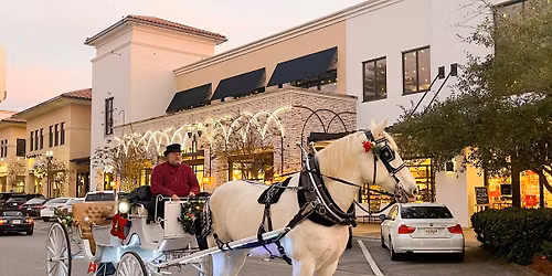 Holiday Horse-Drawn Carriage Rides in December
