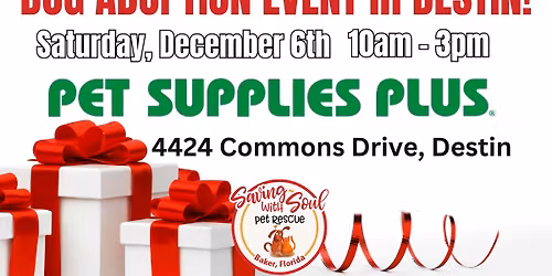 Dog Adoption Event in Destin!