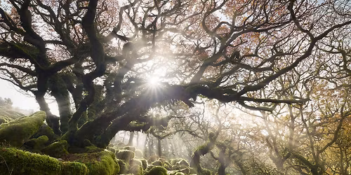 Stories Between Worlds 