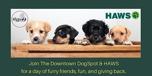 Blankets & Best Friends With HAWS - Mobile Adoption Event