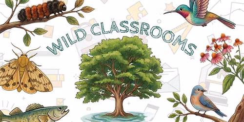 Wild Classrooms: Teacher Training
