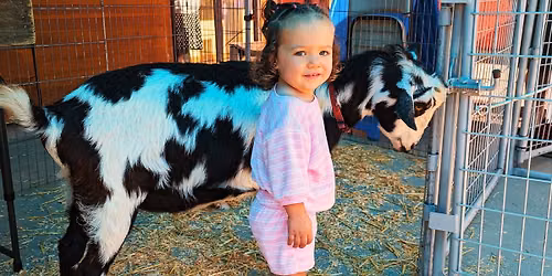 Meet Real Farm Animals with Animal Encounters