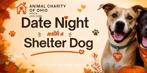 Date Night with a Shelter Dog