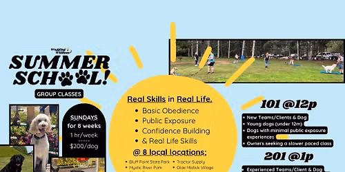 SUMMER SCHOOL - Group Classes