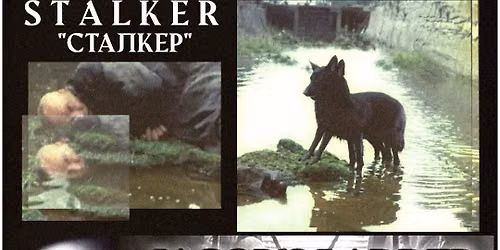 Night of Nightmares: Stalker \/ Jacob\u2019s Ladder