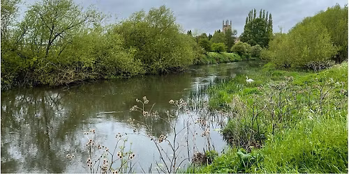 Celebrating water, rivers and Nature: love your Mother Earth