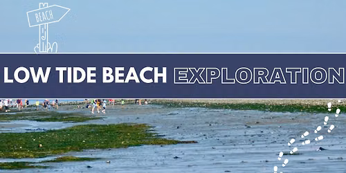 Low Tide Beach Explorations