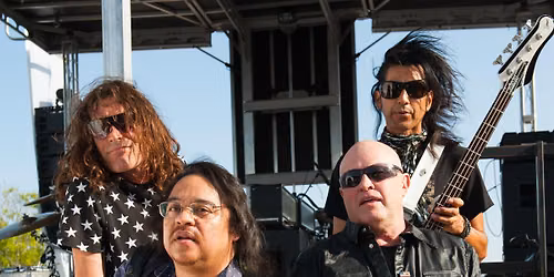 A Flock of Seagulls