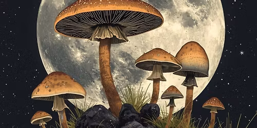 Notes from the Underground