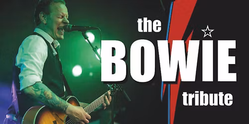 The Bowie Tribute \/\/ Skr\u00e5en