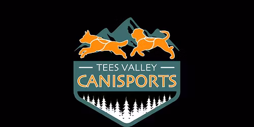 Introduction to canicross in Stockton on Tees - November 2025