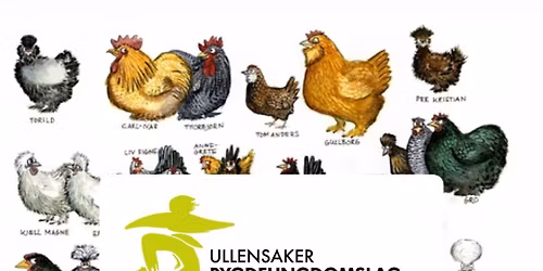 H\u00f8nas dag