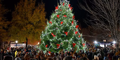 2025 Holiday Tree Lighting