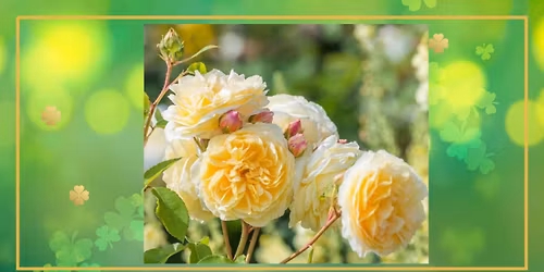 Riverwalk Rose Society Meeting for March