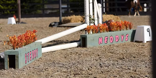 Steddy Neddys Spring Fun Showjumping 
