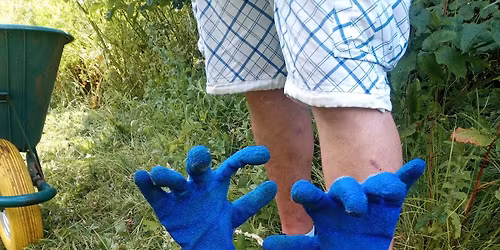 Downs Farm Conservation and Gardening Group