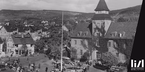 Lokalhistorisk: Fotosamlingen ved Stiftelsen Lillehammer museum \u2013 Glimt fra Lillehammer